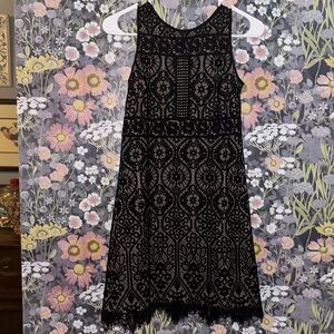 Ann Taylor Lace Dress